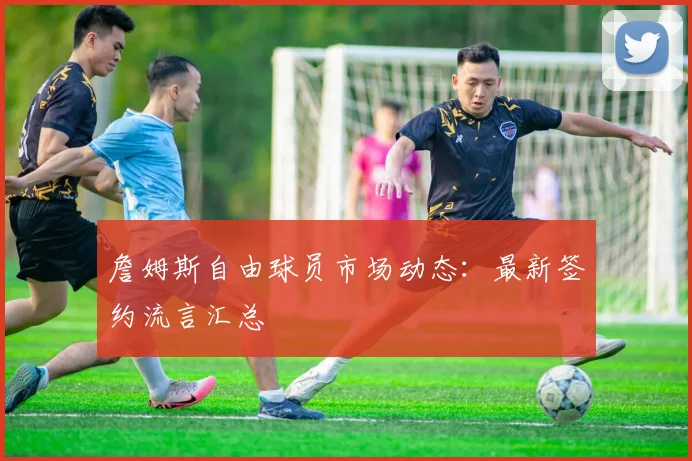 詹姆斯自由球员市场动态:最新签约流言汇总