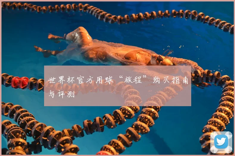 世界杯官方用球“旅程”购买指南与评测