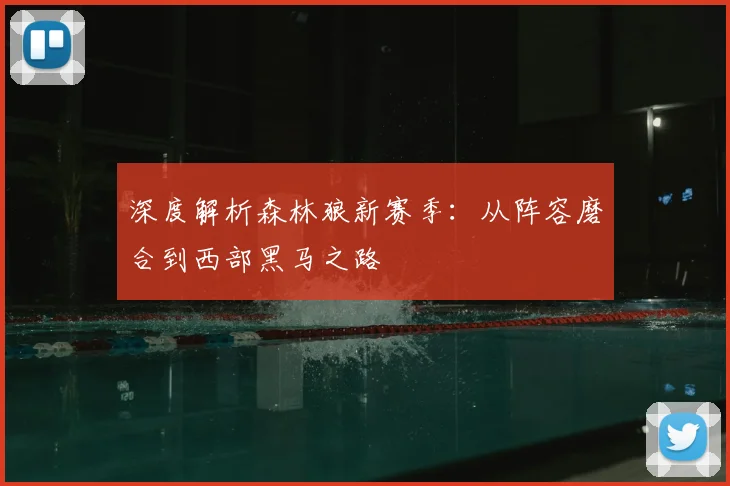 深度解析森林狼新赛季:从阵容磨合到西部黑马之路